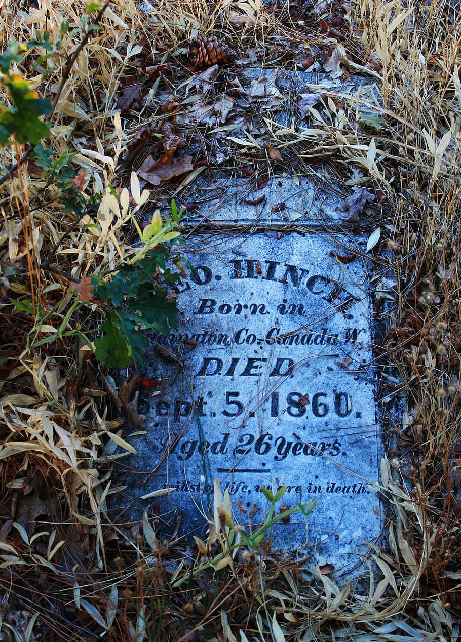 pioneer, died, dead, 1800s, forgotten, head stone, grave, cemetery, broken, history