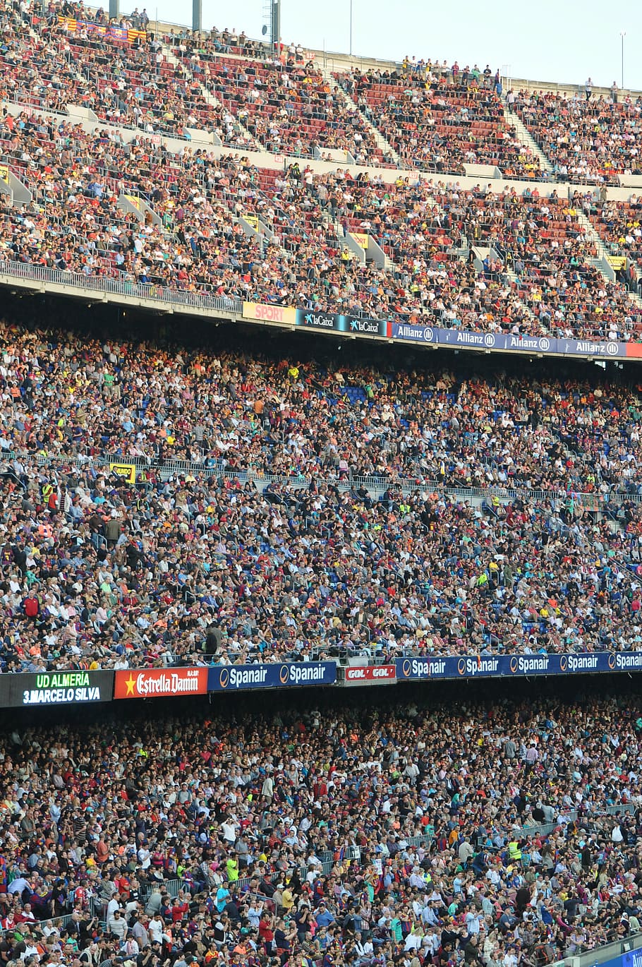 group, people siting side, arena, camp nou, fair, audience, football, match, people, fans