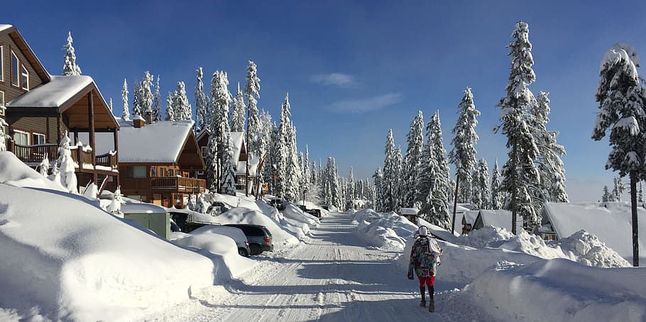 Musim dingin, Kanada, British Columbia, Salju, chalet, ski, suhu dingin, di luar ruangan, hari, sinar matahari
