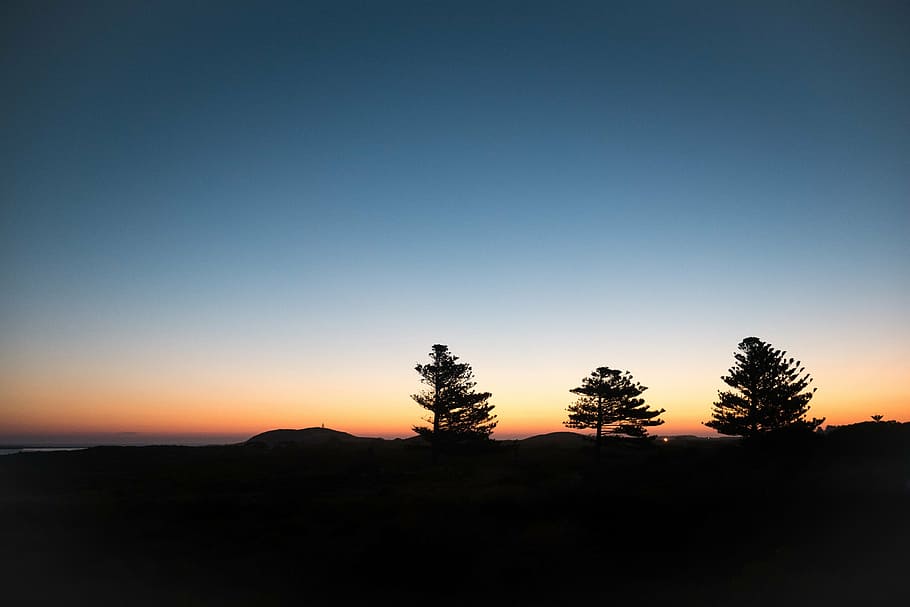 silhouette, trees, sunset, mountain, highland, cloud, sky, summit, ridge, landscape
