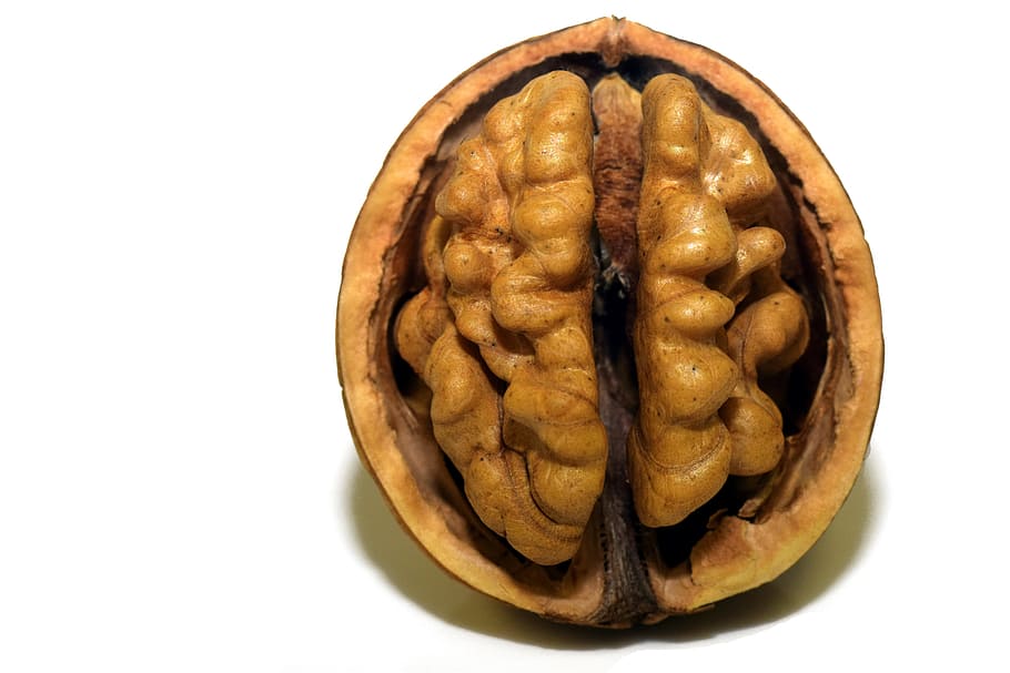close-up photography, walnut, nut, shell, nutshell, open, brain, head, coils, curves