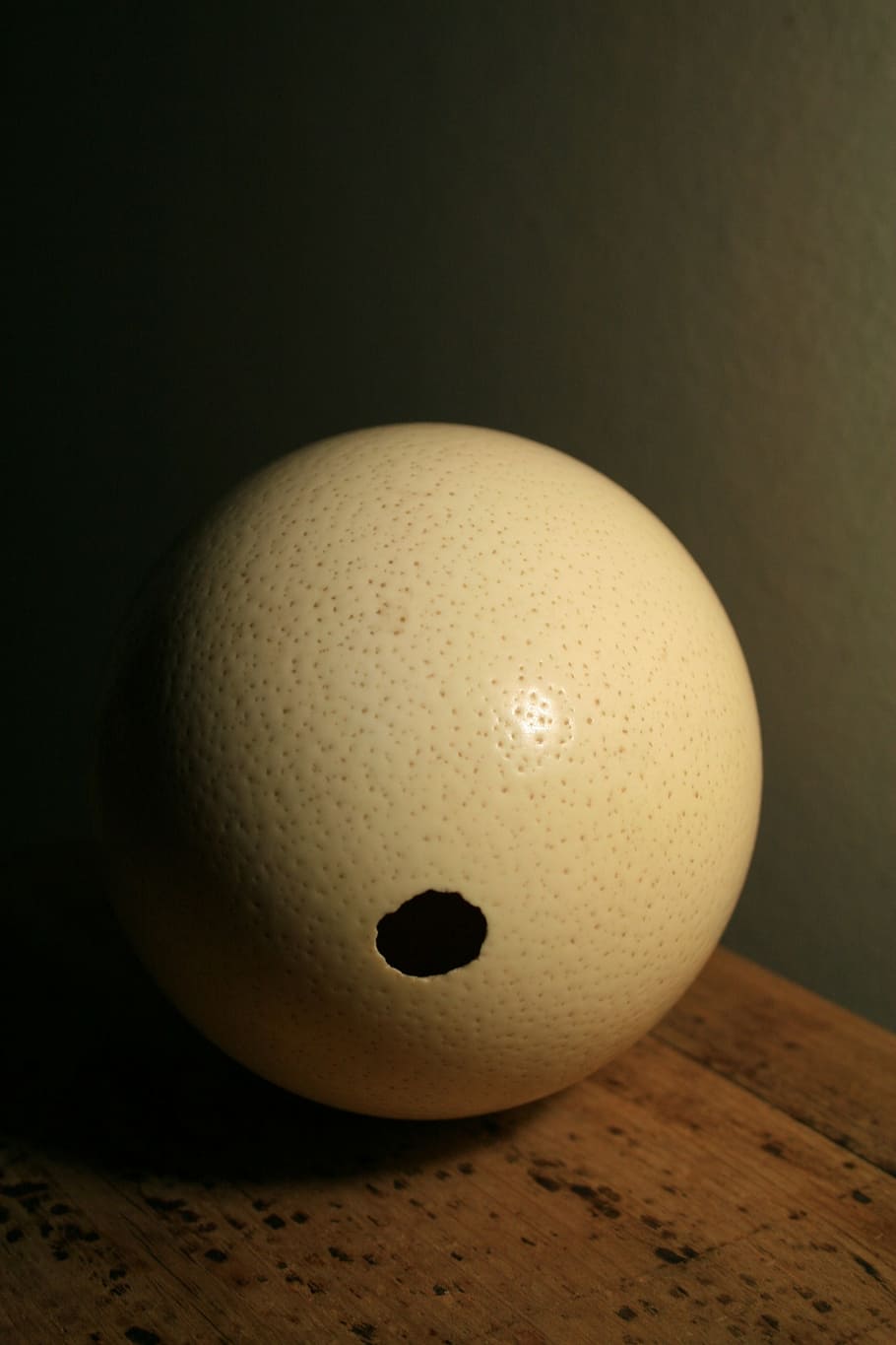 ostrich egg, shell, egg, ostrich, buff, dimpled, strong, opening, indoors, close-up