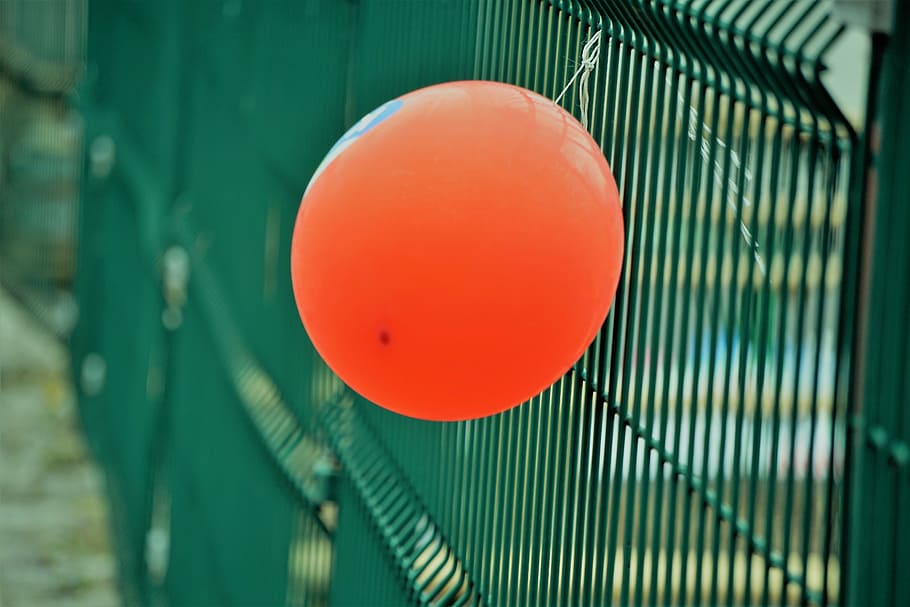 naranja, globo de látex, cerca, globos, helio, aire, justo, verde, sin gente, color verde