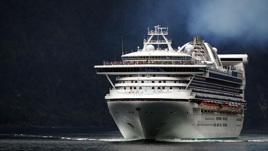 Golden Princess, Milford Sound, cruise ship on sea, nautical vessel, water, ship, transportation, mode of transportation, sea, nature