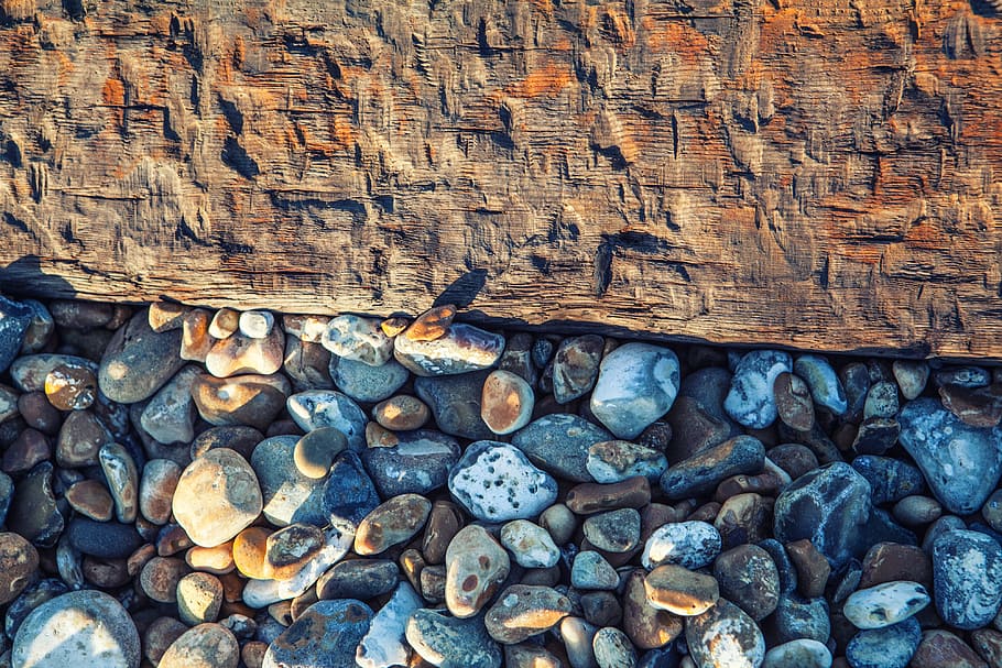 shot, captured, beach, kent england, beach pebbles rest, old, wooden, groyne, on the beach, Deal