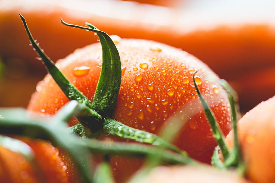 close, Wet, Tomato, Close Up, cooking, drops, food, foodie, fresh, healthy