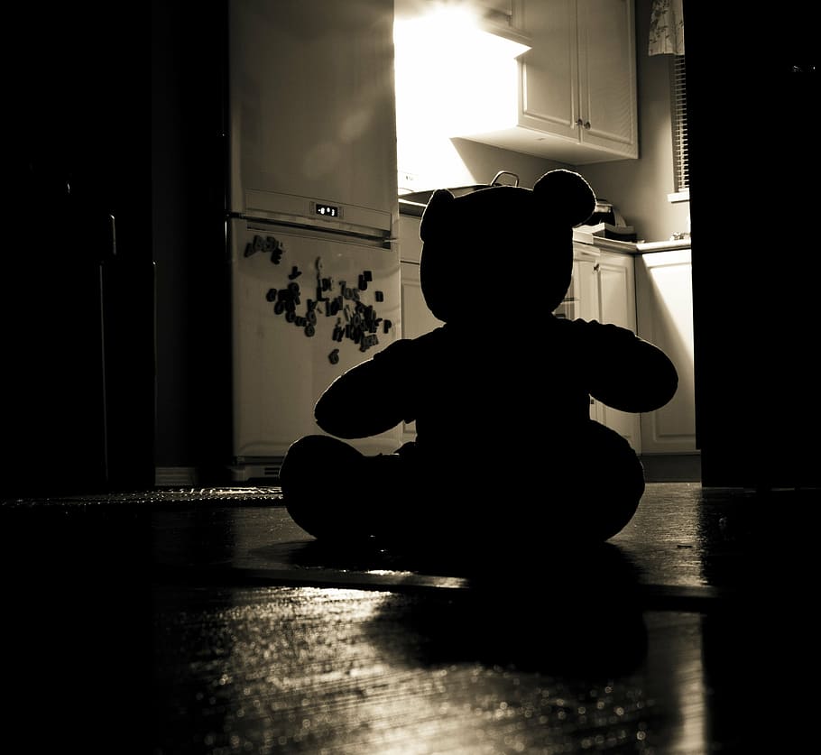 silhouette, bear, plush, toy, floor, teddy bear, evil, night, home, problem