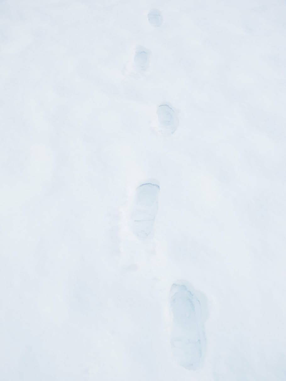 traces, footprints, snow, snow tramp, winter, cold - Temperature, nature, white, footprint, ice