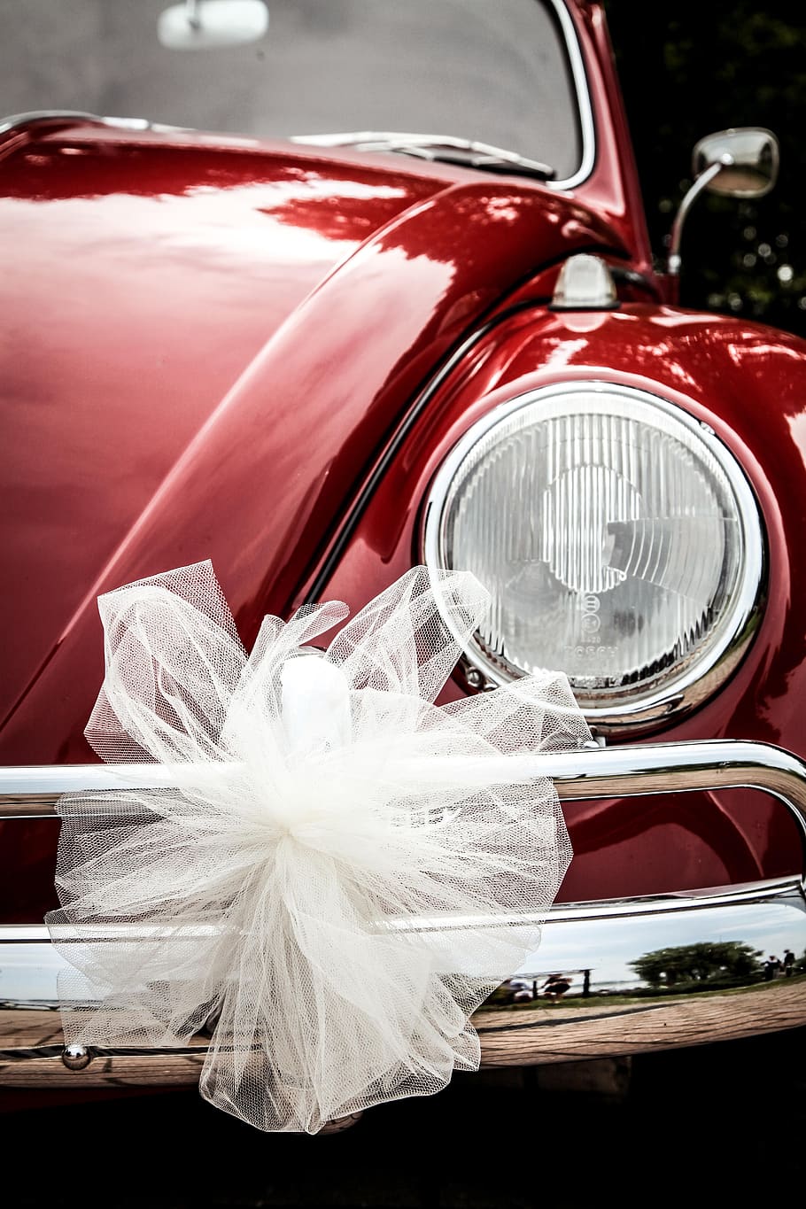 closeup, white, bow, red, volkswagen beetle headlight, vw beetle, beetle, car, ceremony, wedding