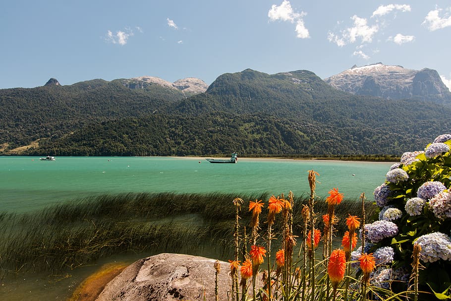 南アメリカ, チリ, スランキウエ州, ラゴトドスドスサントス, ペトロウエ, 湖, 山, 自然の美しさ, 水, 風景-自然
