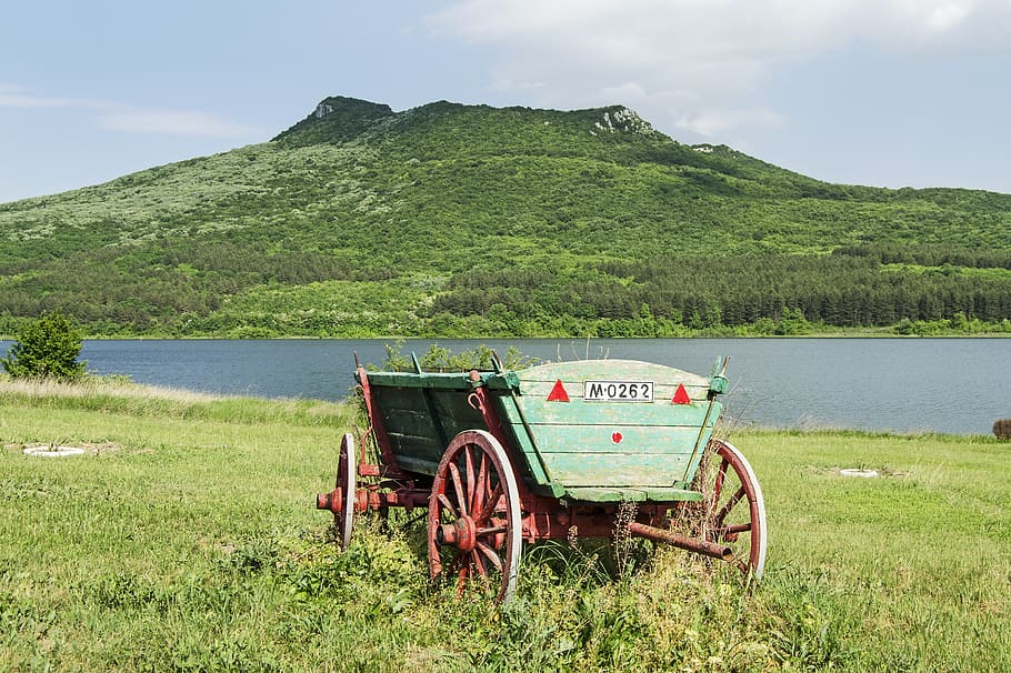 wagon, wooden, wheels, meadow, lake, mountain, green, old, transportation, vintage