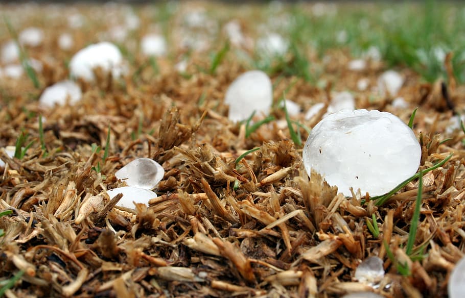 selective, focus photography, ice, brown, surface, hailstone, storm, highveld, south africa, hail