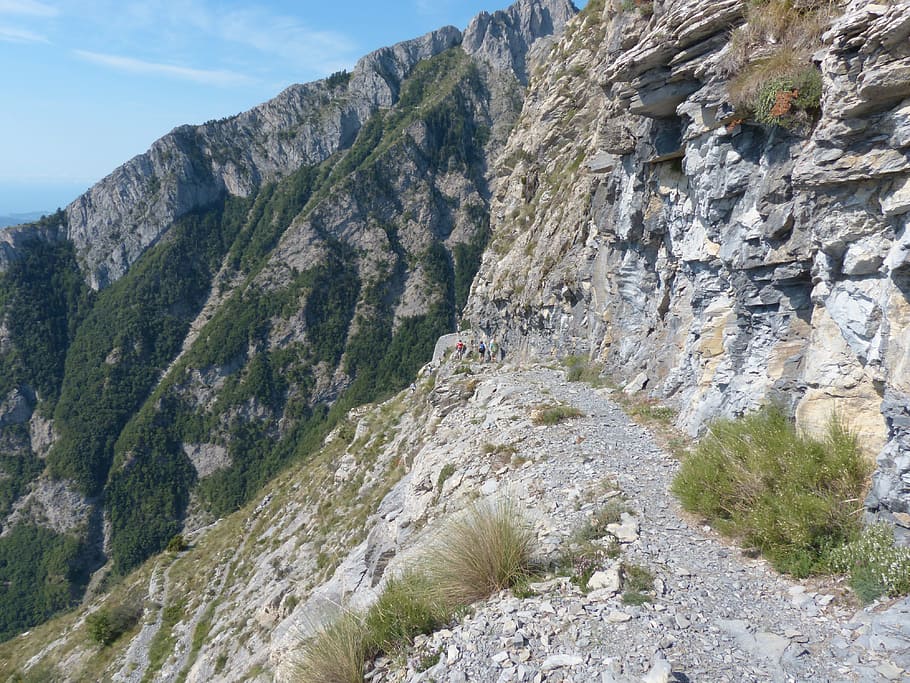 Trail, Hike, Gta, grande traversata delle alpi, downhill, steep, wanderer, sentiero degli alpini, nature, mountain