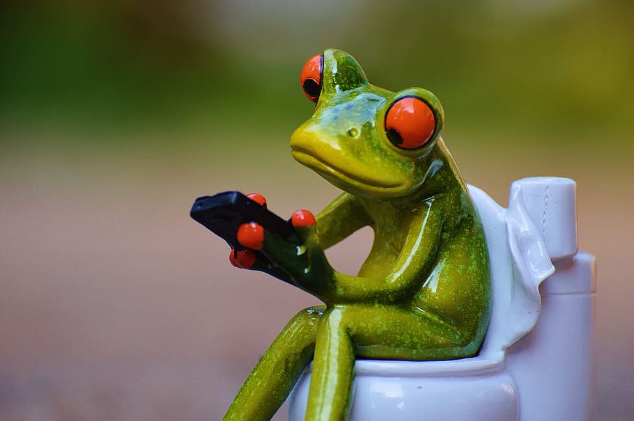 frog, toilet bowl figurine, mobile phone, toilet, loo, wc, funny, session, cute, animal themes