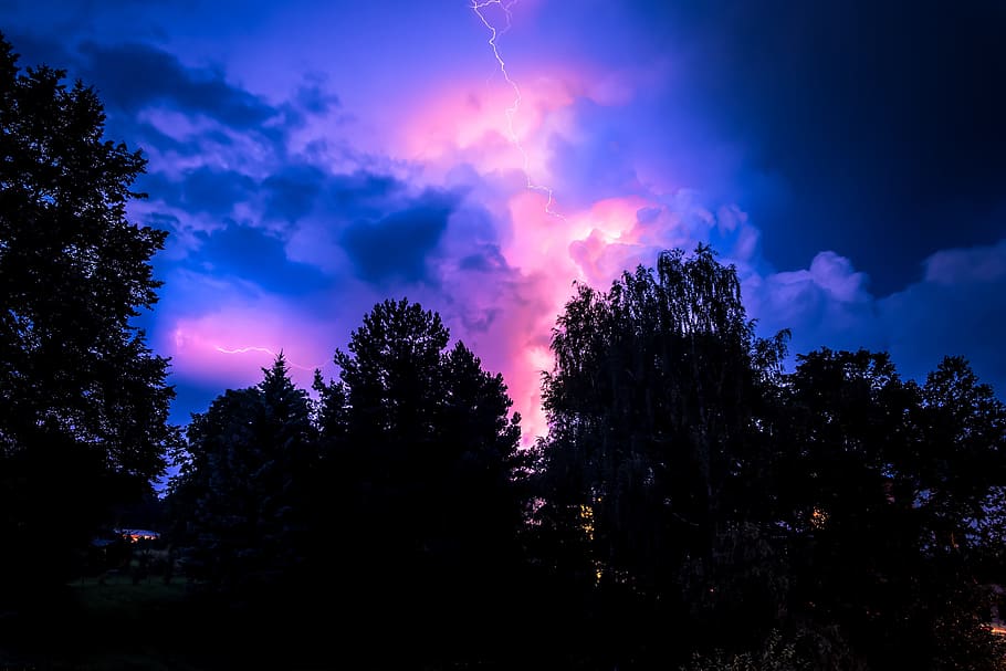 trees, purple, pink, sky, landscape, flash, thunderstorm, mood, force of nature, electricity