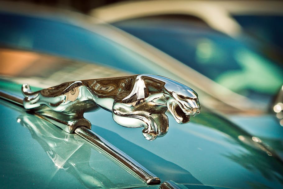 jaguar hood ornament, auto, jaguar xk, automotive, oldtimer, vehicle, old, classic, old car, historically