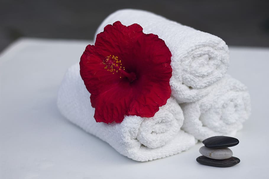 white, bathroom towel, red, hibicus, towel, hibiscus, clean, care, salon, spa