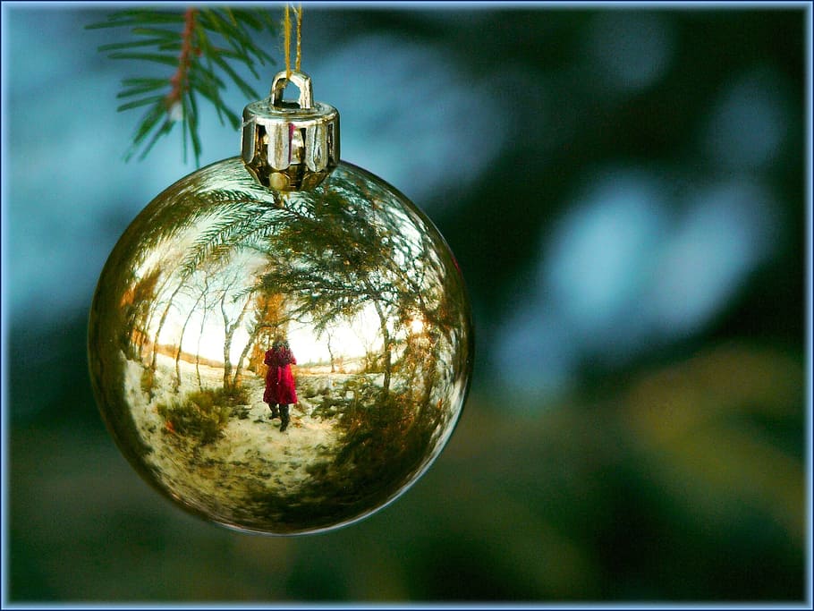person, reflection, bauble, christmas decorations, christmas ornament, tree decorations, christmas, glaskugeln, pine needles, fir