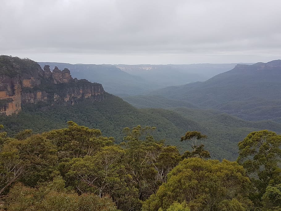 australia, three sisters, blue mountains, forest, landscape, eucalyptus, mountain, scenics - nature, environment, beauty in nature