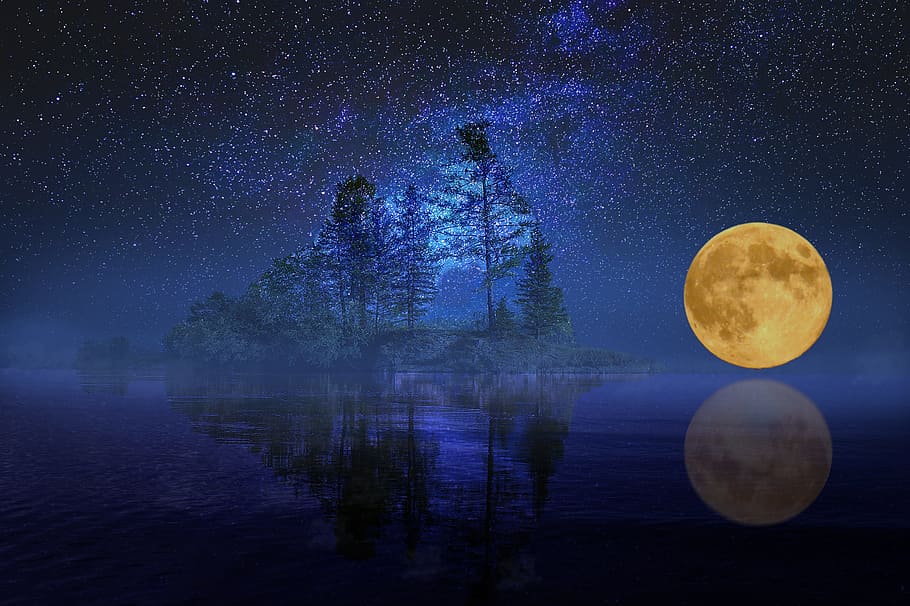 yellow, full-moon, trees, full moon, landscape, sea, lake, island, bank, reflections