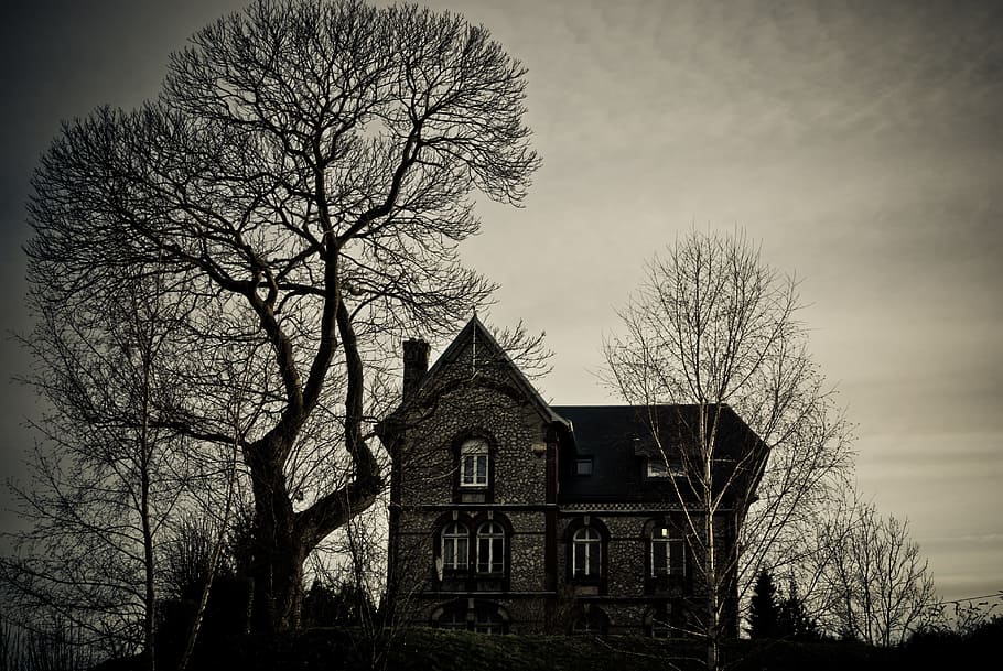 회색조 사진, 2 층, 2 층 집, 옆에, 시 든, 나무, 극적인, 집, 마녀, 두려움