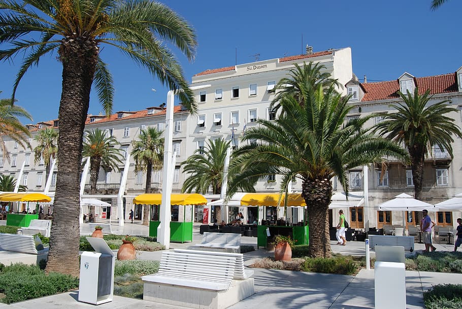 hotel, architecture, travel, resort, split, dalmacija, palm, palm tree, tree, tropical climate
