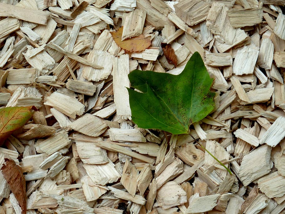 Wood Chips, Leaf, Autumn, Leaves, autumn, leaves, wood chopping, background, wood splitter, fall protection flooring, fall protection chips
