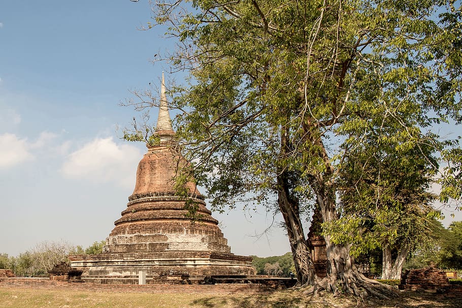 thailand, sukhothai, part of the historical park, wat mahāthāt, ruins, remains of the old royal palace, temple, buddha statues, chedi at wat mahathat, tree