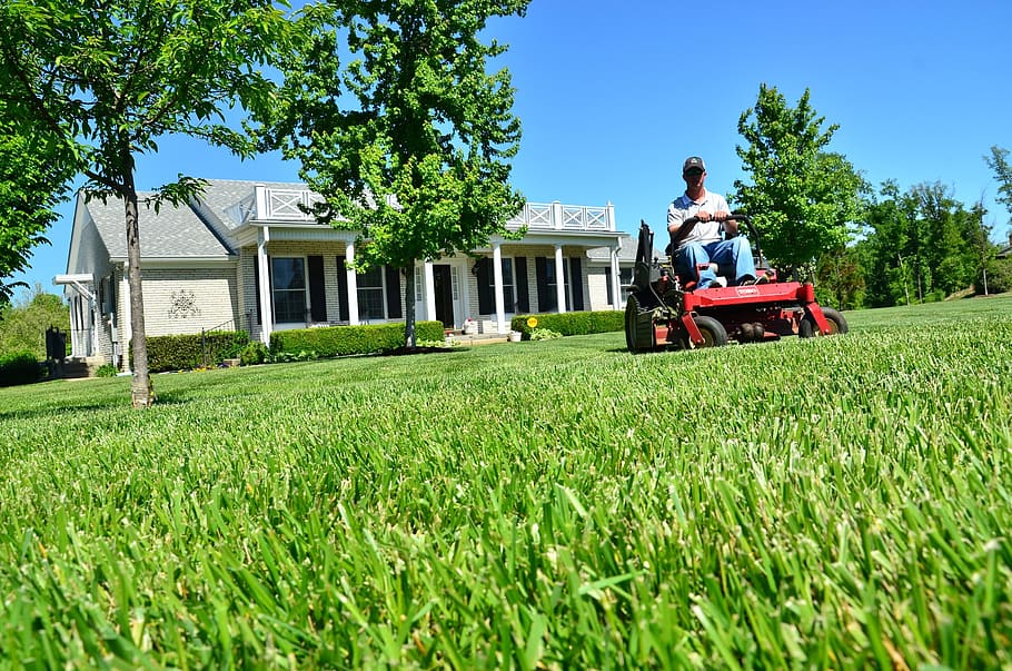 lawn care, lawn maintenance, lawn services, grass cutting, lawn mowing, plant, architecture, field, built structure, green color