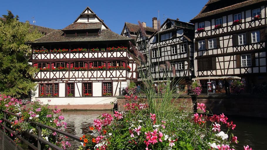 red, white, wooden, house, body, water, strasbourg, petite france, alsace, architecture