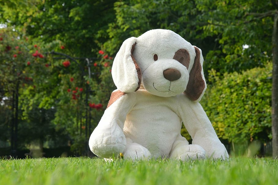 puppy, dog, nature, toy, plush, soft, grass, plant, stuffed toy, mammal