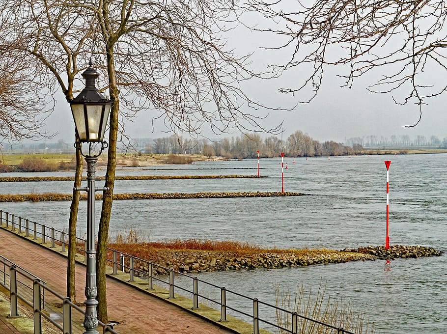 niederrhein, promenade, rees, shore area, groynes, tags, nature, waters, tree, winter