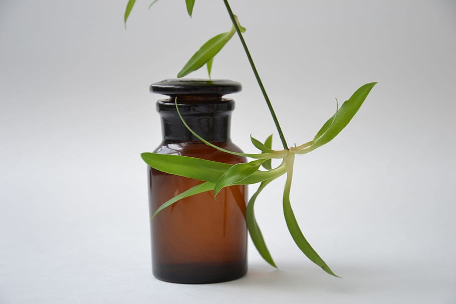 green, leaf plant, amber, glass bottle, shtanglas, pharmacy, chemist glassware, dark glass, plant, floral water