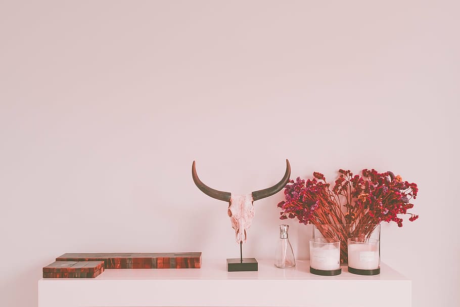 gray, animal skull, red, flowers, house, interior, design, display, table, horn