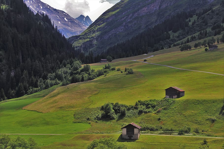 green fields, hill, far view, trekking, the alps, mountain, quiet, mountains, the environment, village
