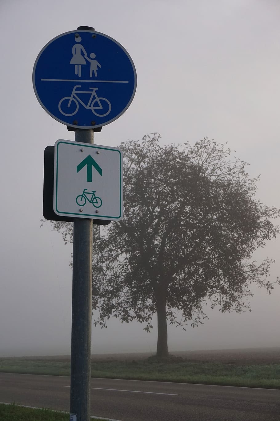 autumn, fog, street sign, traffic sign, cycle path, tree, nature, landscape, mood, haze
