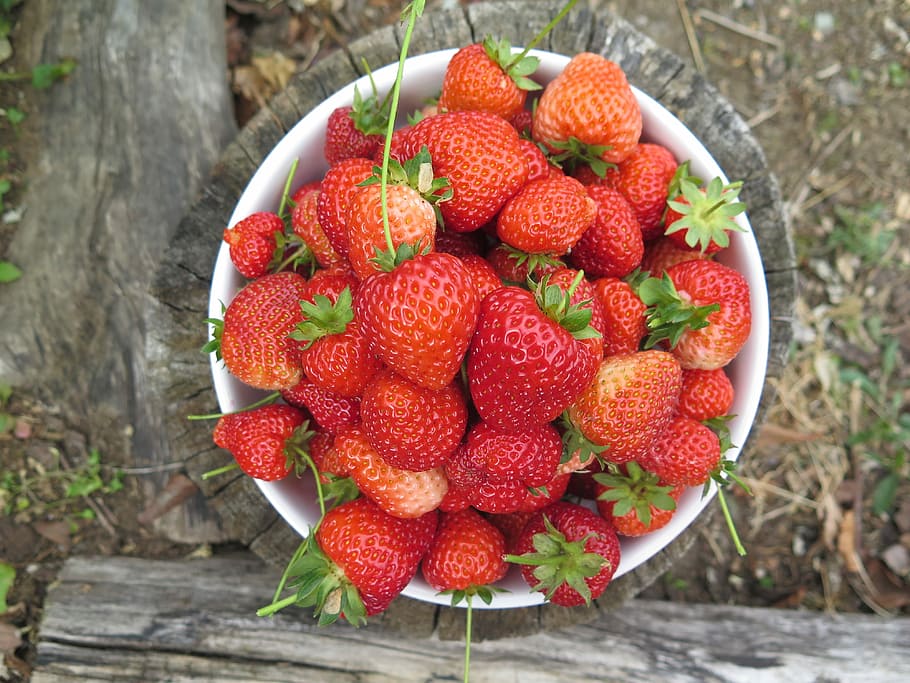 strawberries, white, bowl, fruit, food, strawberry, healthy, freshness, red, colour