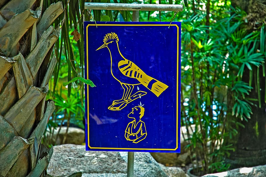 Note, Bird, warnschild, blue, wheelchair, differing abilities, outdoors, day, communication, sign