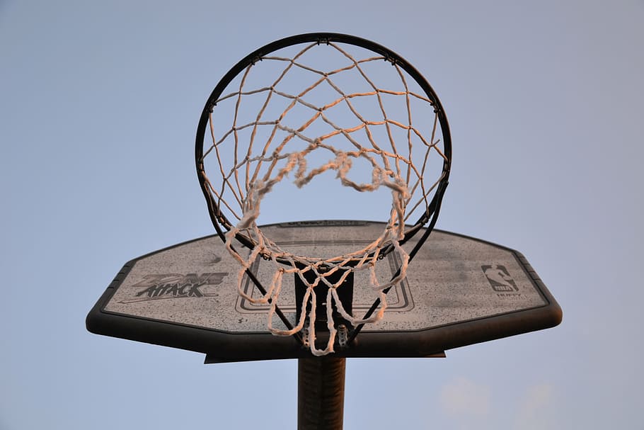worm, eye view, basketball hoop, sport, basketball, basketball basket, hobby, leisure, nba, basketball - sport