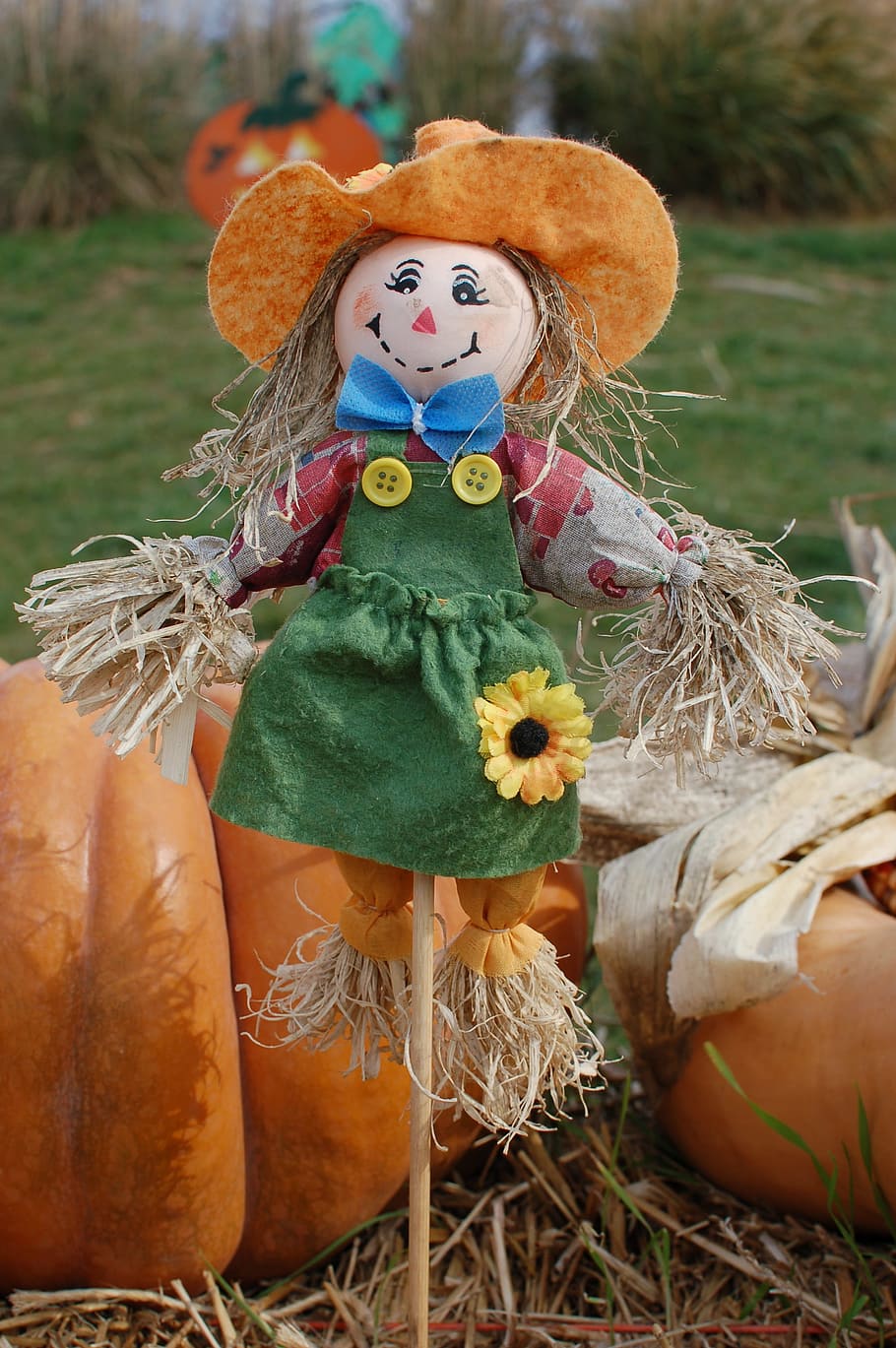 girl scarecrow, pumpkin decor, daytime, Scarecrow, Pumpkins, Halloween, Harvest, october, cute, celebration