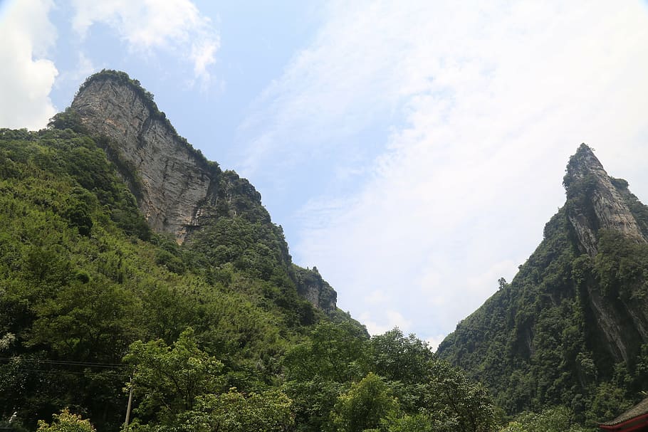montanha, em hunan ocidental, o vasto, olhar para cima, céu, beleza natural, paisagens - natureza, árvore, natureza, planta