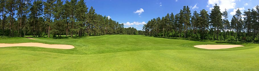 green, field grass, surrounded, tress, golf, fairway, forest, trees, golf-club worpswede, golf course