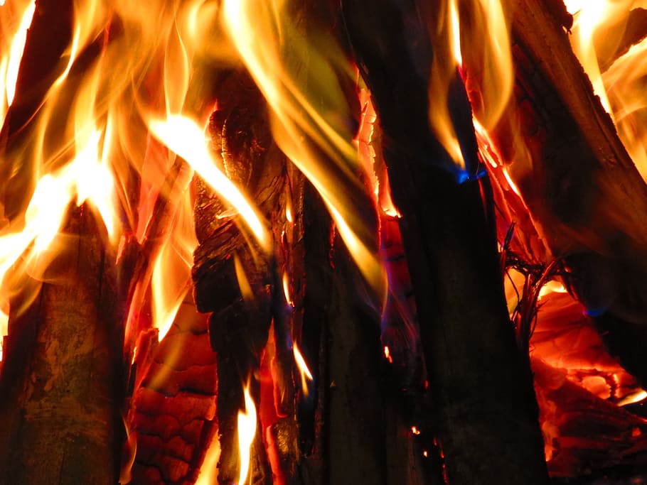 wood, fire, campfire, bonfire, heat, lena, flames, hot, firewood burned, burning