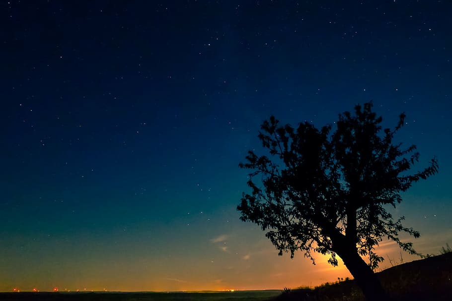 baixo, fotografia leve, silhueta, árvore, luar, astronomia, cósmico, cosmos, Ao ar livre, noite