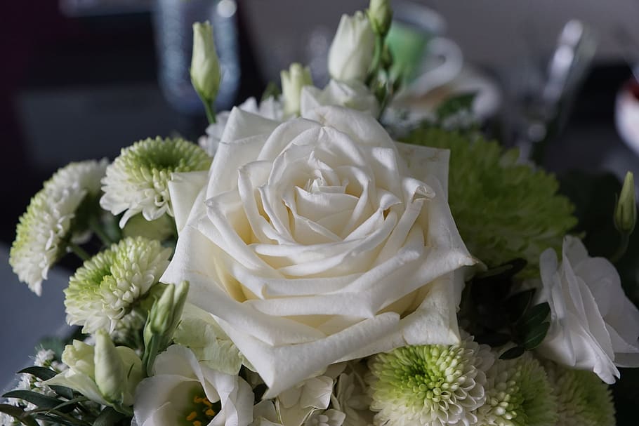 mawar, putih, bunga, strauss, pernikahan, ulang tahun, hadiah, kemewahan, mulia, cinta
