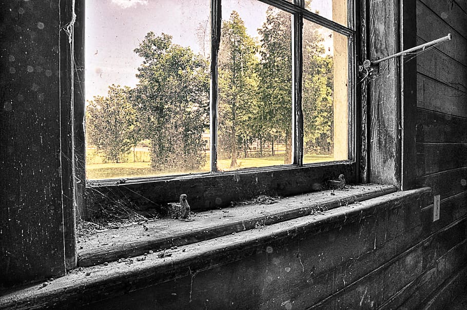 closed, brown, wooden, framed, windowpane, window, black, color, light, old