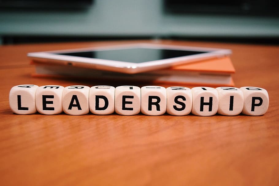 leadership text print, dice, Leadership, word, success, business, management, communication, text, western script