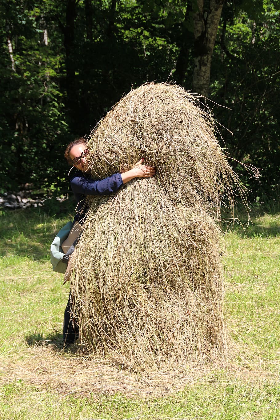 haystack, hide, hay, pile, harvest, plant, land, real people, one person, field