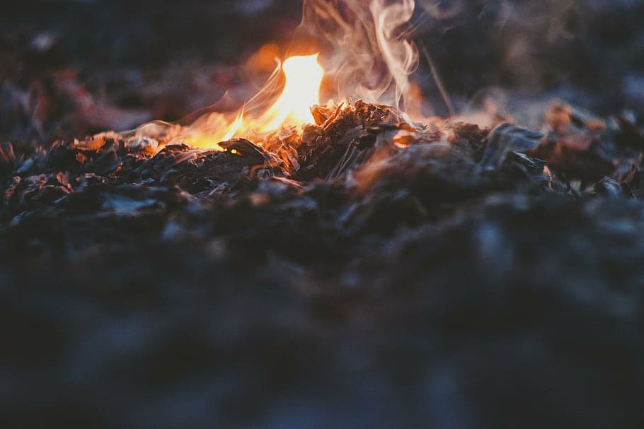 огонь, на улице, лагерь, дым, пепел, искра, огонь - явление природы, тепло - температура, пламя, горение