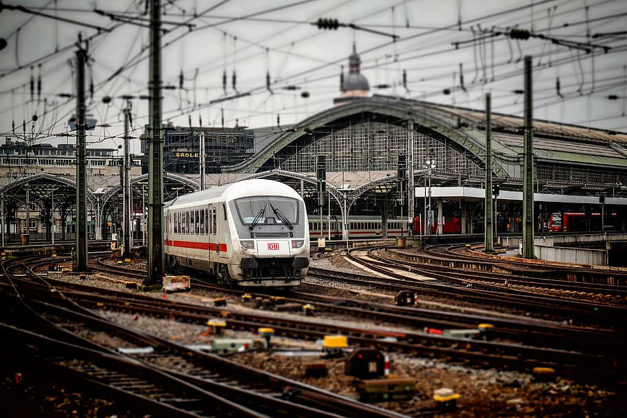 white train, railway station, cologne, train, railway, ice, seemed, catenary, miniature, steel structure